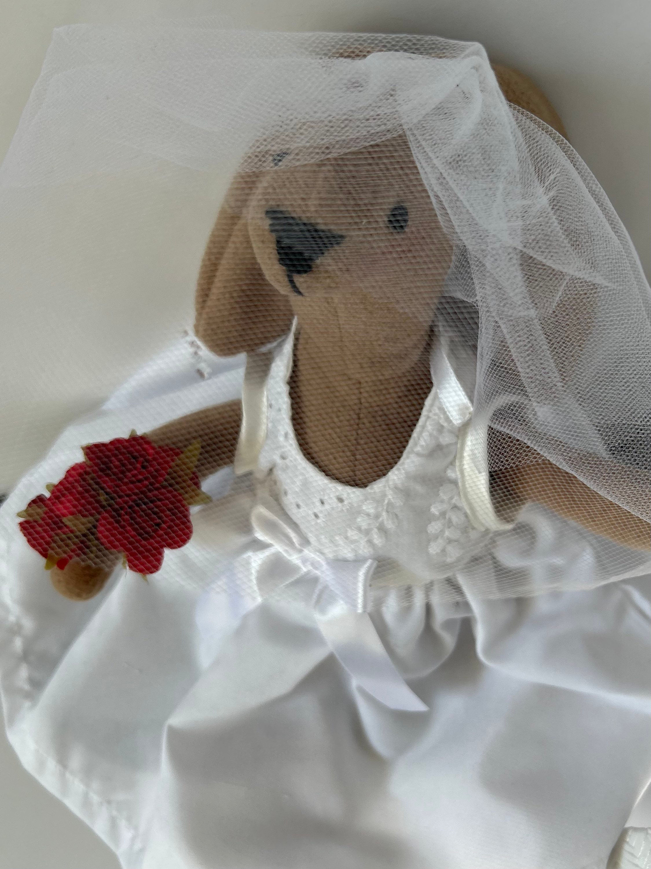 נאבי כלה (1 במלאי ) 