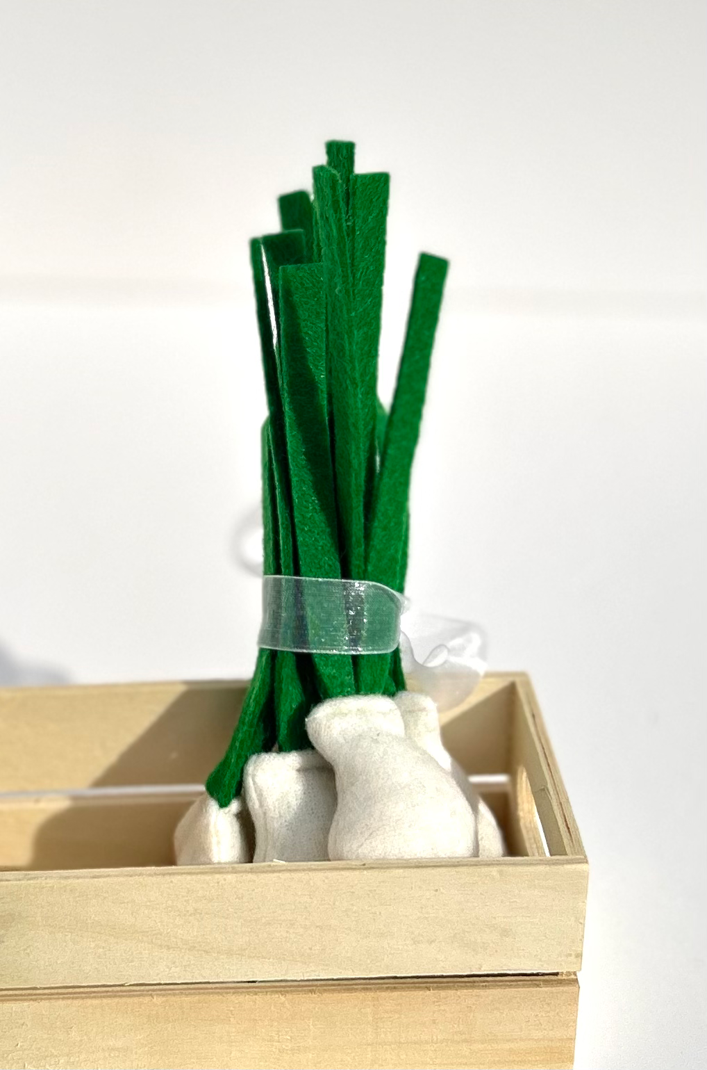 בצל ירוק יח׳