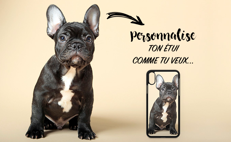 dog wix