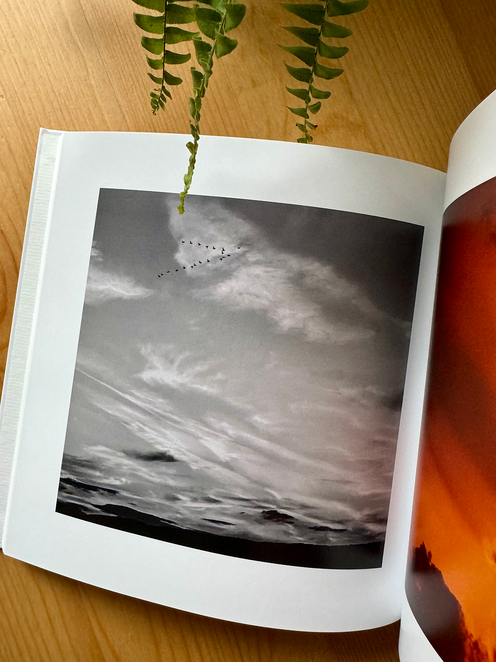 Miniature : Livre Nuage