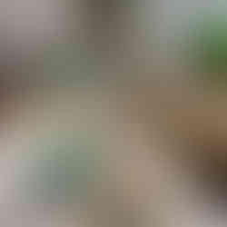 closeup of an indoor Jungle themed picnic table with personalised hats and a balloon display in the background