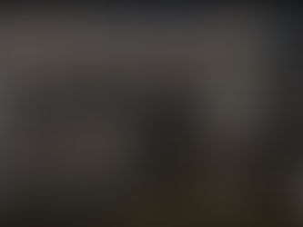 Test Version 0.93 - Companions, optimization, world map AI...