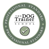 PROFESSIONAL STANDARD (1).png