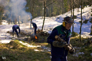 Opprydning i skogen