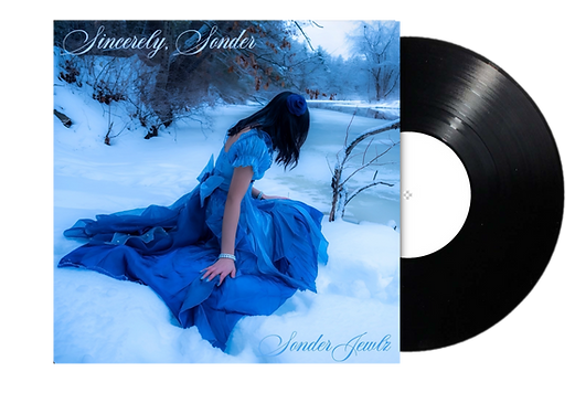 Vinyl_edited.png