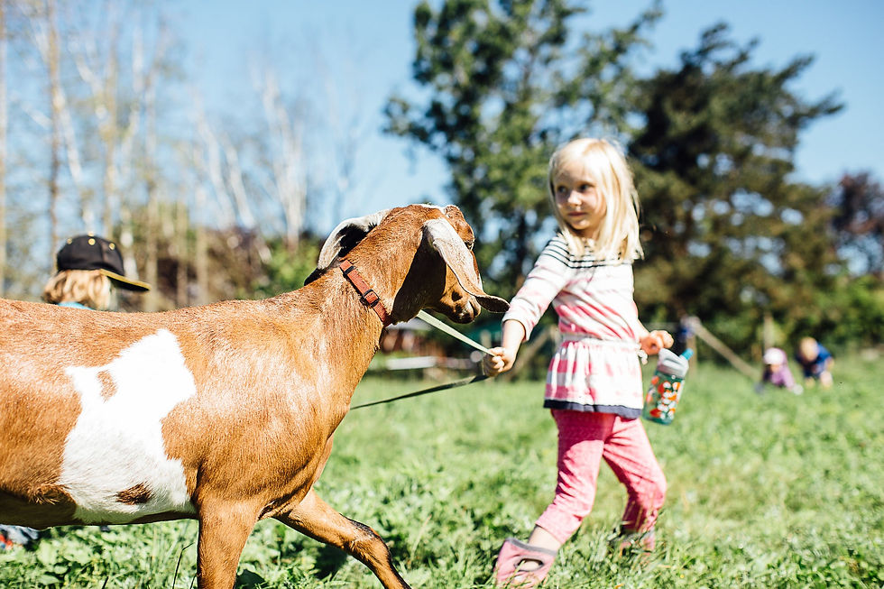 Zestful Gardens Farm Camp
