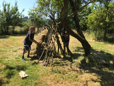 Boys Week Zestful Gardens Farm Camp