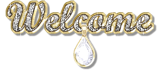 Welcome-Diamond-Glitter