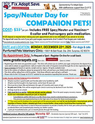 PP. Dec. 22.2025-In Clinic.jpg