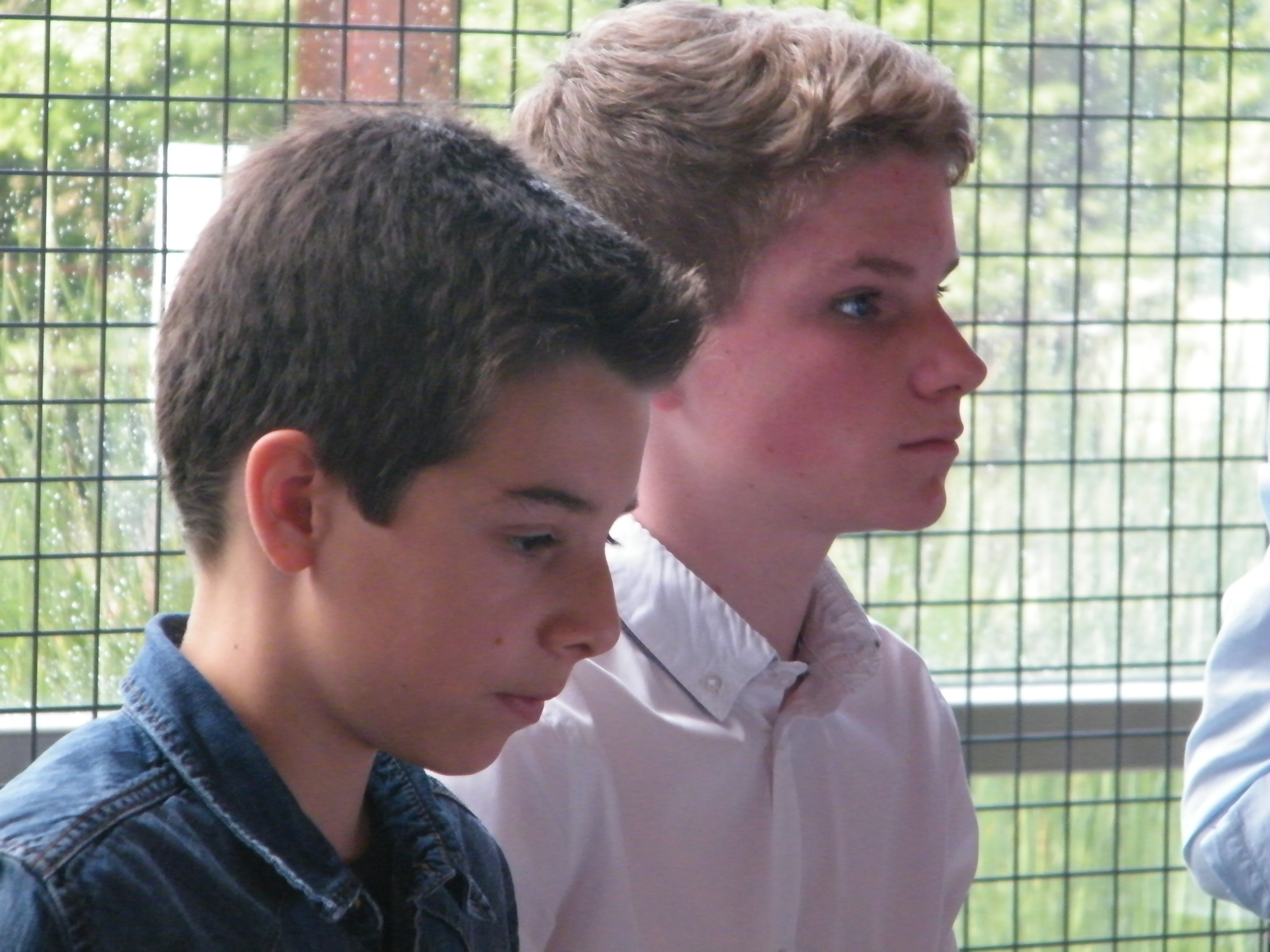 DSCF6417.JPG
