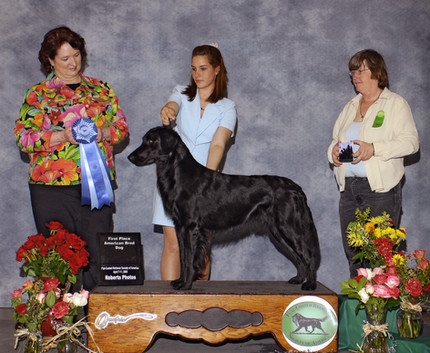 Ace gets first in class at the 2008 Specialty
