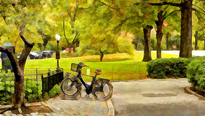 Sonder on a walk