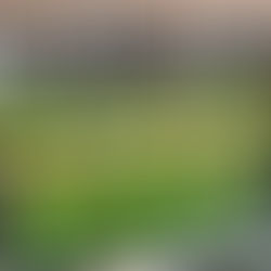 Beer Quality Matters