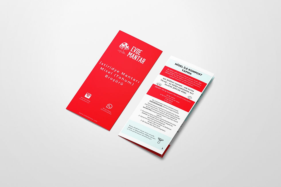 Küçük resim: Kestane Mantarı Sıvı Miseli 5 cc - Mantar Tohumu - Ana Kültür - Maliyet Düşürücü