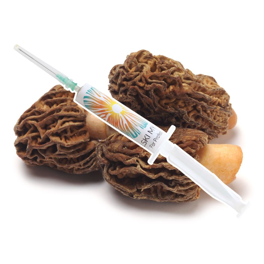 Kuzu Göbeği Mantarı Sıvı Misel 5 cc - Sıvı Mantar Tohumu Ana Kültür