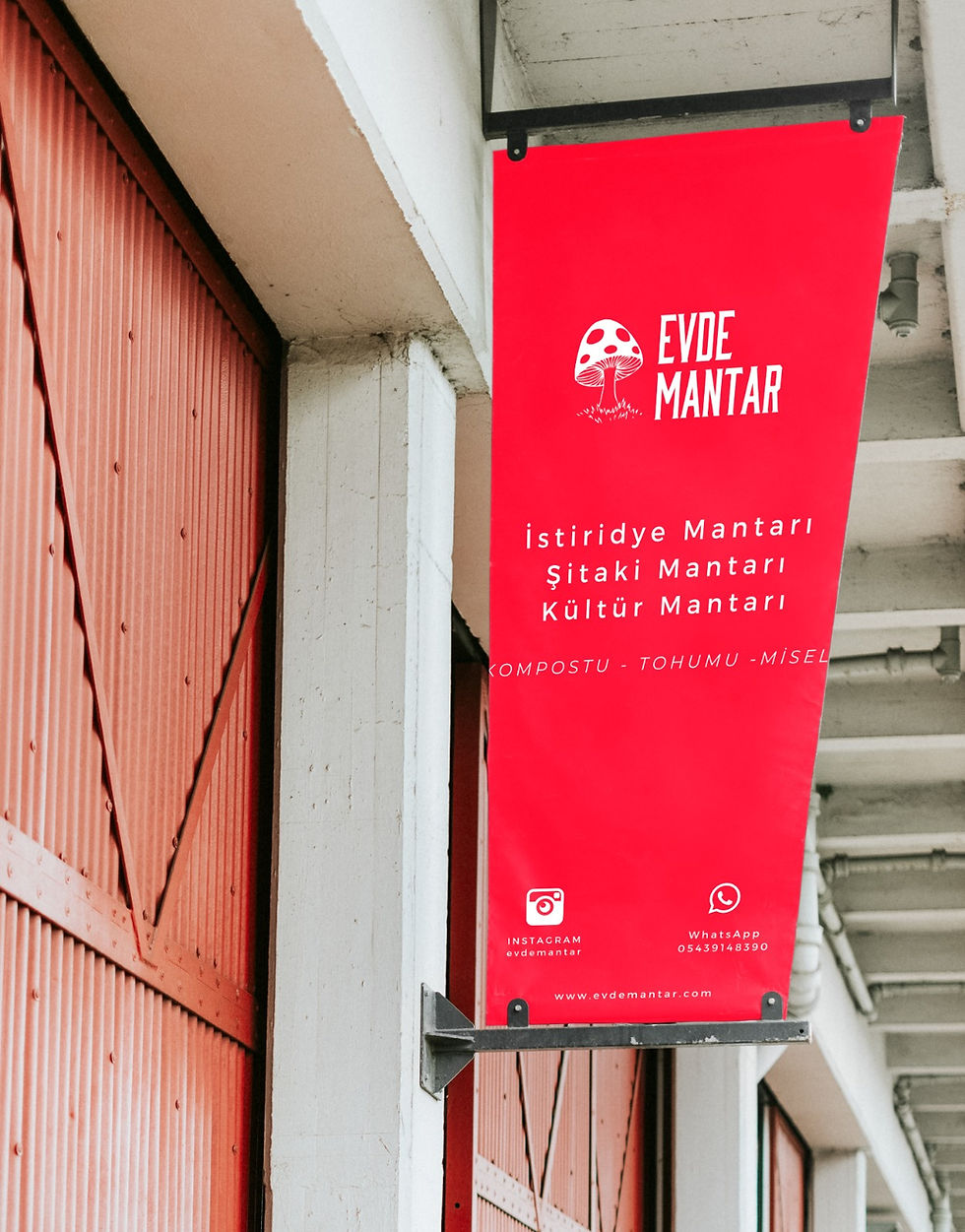 Küçük resim: Hindi Kuyruğu (Turkey Tail Mushroom) (Koriolus Mantarı) Sıvı Misel 5 cc