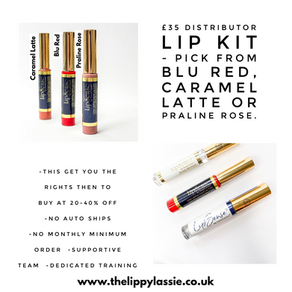 Become an Independent Distributor of SheerSense