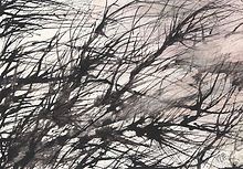 Marika Pazsit | Branches | Watercolor | SWEDEN