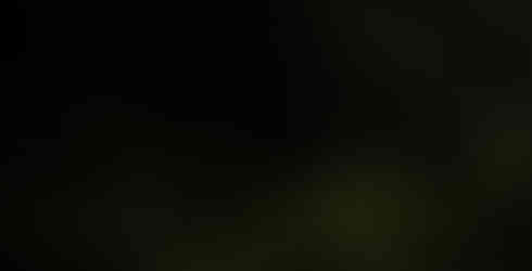 桃園市政府風景區-螢火蟲照片