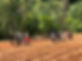4ta Estación Agricultura.jpeg