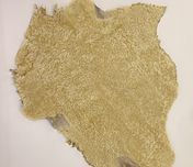 sheepskin leather hide