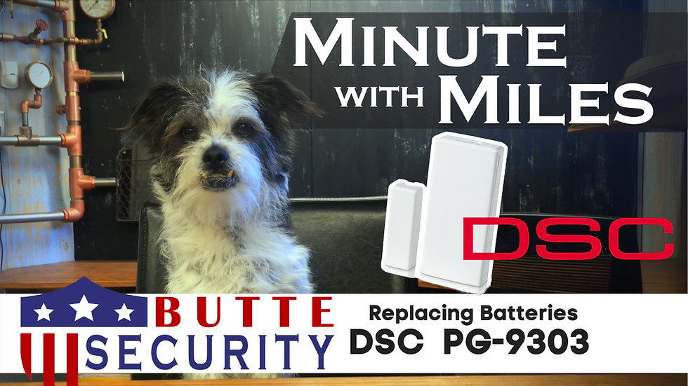 PG-9303 Battery Replacement