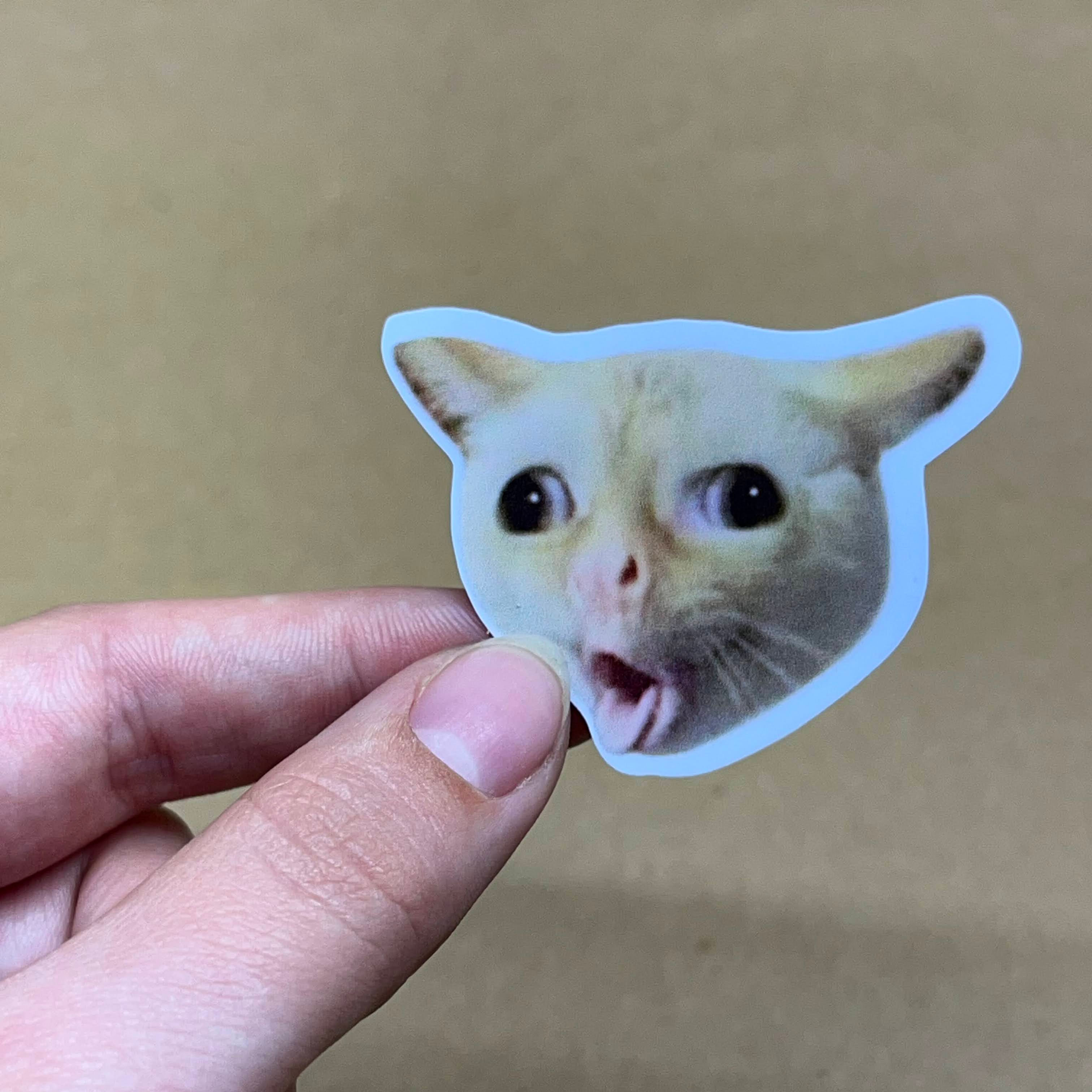 Meme gato vômito - Pequeno