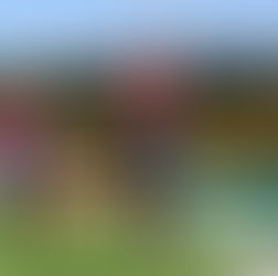 Algarve Cup 2020: Riassunto dei quarti di finale. Passano Norvegia, Germania, Nuova Zelanda e Italia