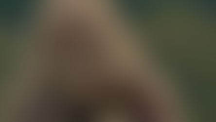 Beastly Brilliance: SASQUATCH SUNSET Unleashes Hilarious, Heartfelt Tale