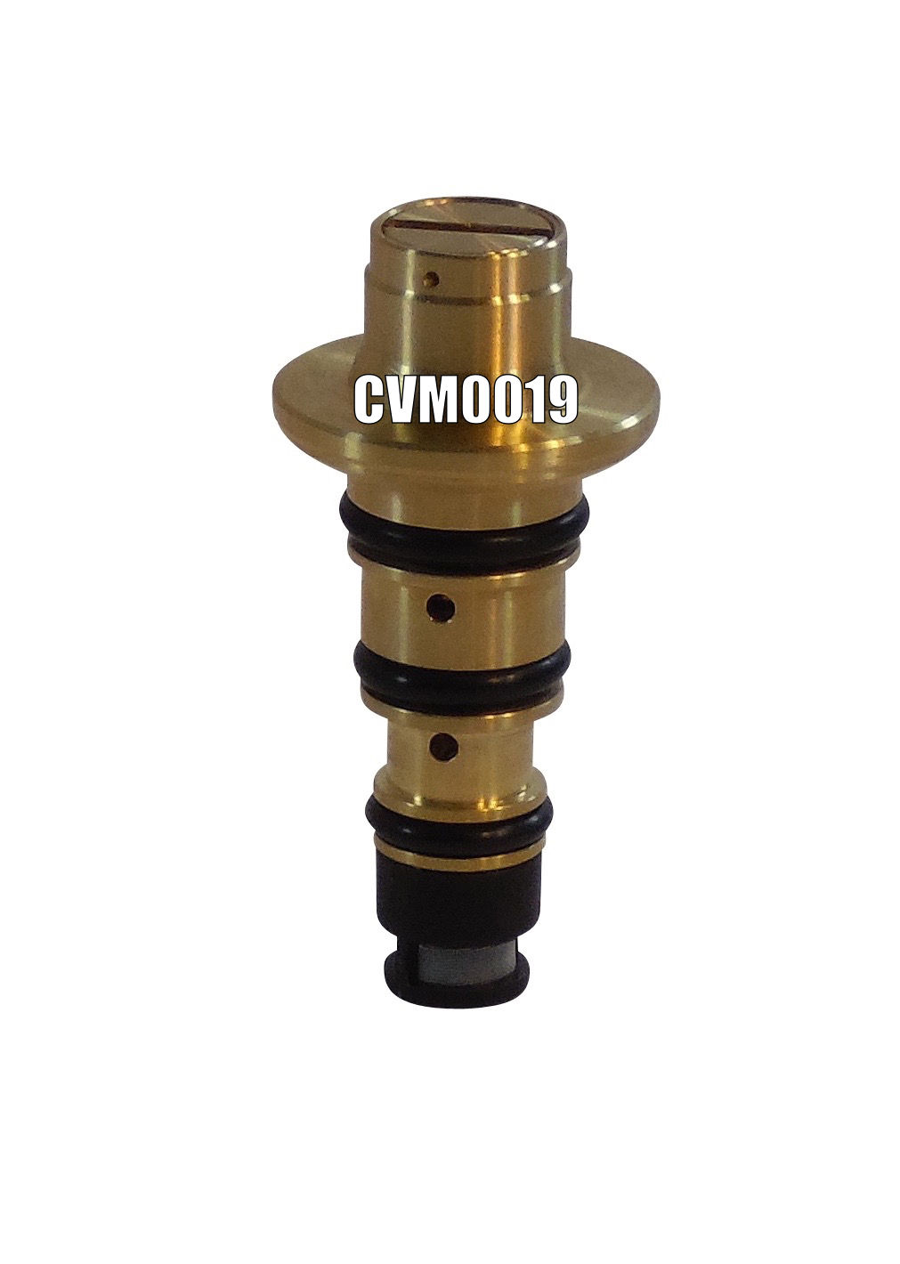 CVM0019 VISTEON VS16 CONTROL VALVE W/ SCREEN