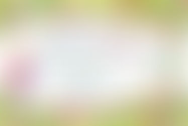 Приглашаем на музыкально-развлекательную программу "Весне привет!"