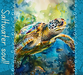 Sea Turtle Soul.png
