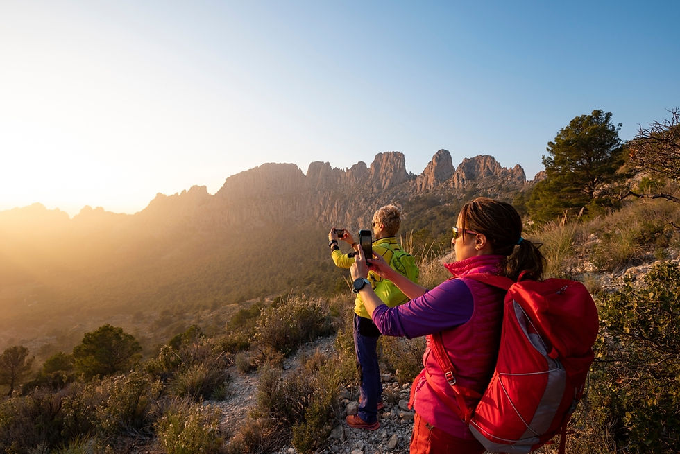 shutterstock_2543257441