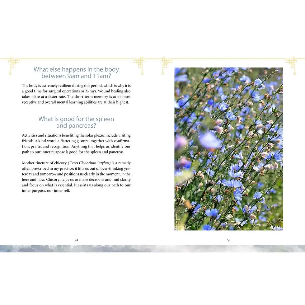 Thumbnail: The Body Clock in Traditional Chinese Medicine Book