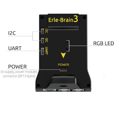 Miniatura: Erle-Brain 3