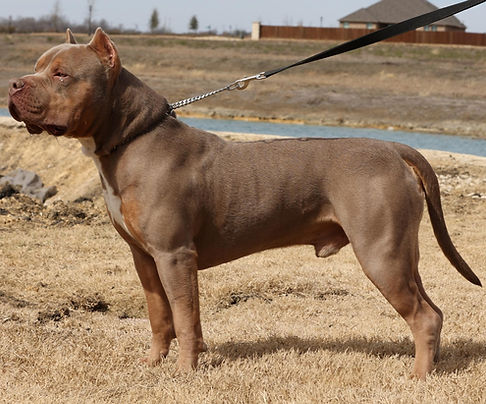 Untitled design (67).jpg