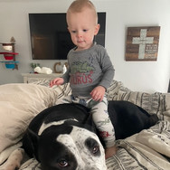 Best bully studs