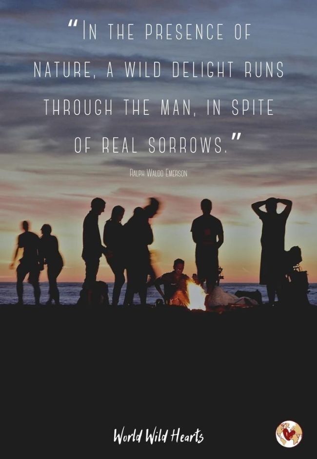 adventure travel quote