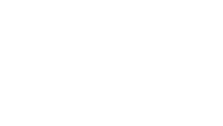 Comprehensive Travel Planner | World Wild Hearts