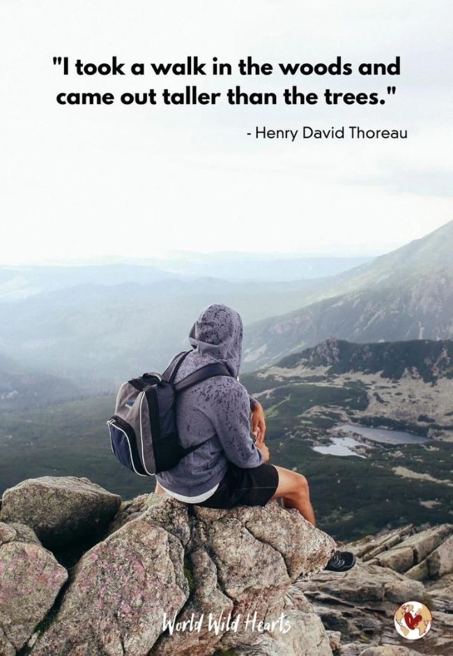 Nature quote