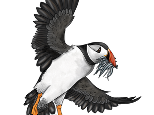 Abenteuer Feuer und Eis ist da!