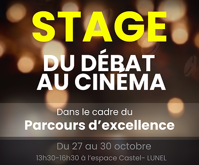Stage du débat au cinéma.png