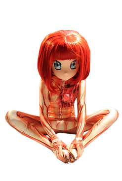 sed.png