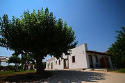 Agriturismo alle Riserve,Agriturismo Avola,Agriturismo NotoBeB in Avola,BeB low Cost,BeB ad Avola,BeB in Noto,BeB in Siracusa,BeB in Fontante Bianche, dove dormire ad Avola,Dove dormire a Noto,Dove dormire a Siracusa,Autonoleggio Avola,Avola tra mare e Canyon,Info point Avola,Avola