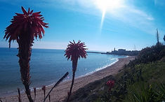 Avola Lungo Mare Spiagge