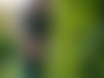 The Importance of Hiring Professional Gardeners