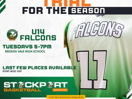 U14 Falcons 