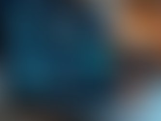 Privacy Audit Cost Analysis: Evaluating Remote Data Privacy Audit Costs