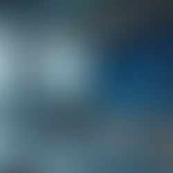 Exploring the Aidentity AI Ethics Standards: A Guide for Businesses
