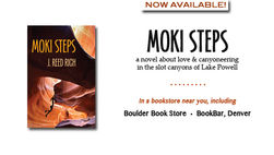 Support your local bookstore!